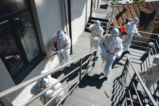 Professional Mold Removal in Fort Wright, KY